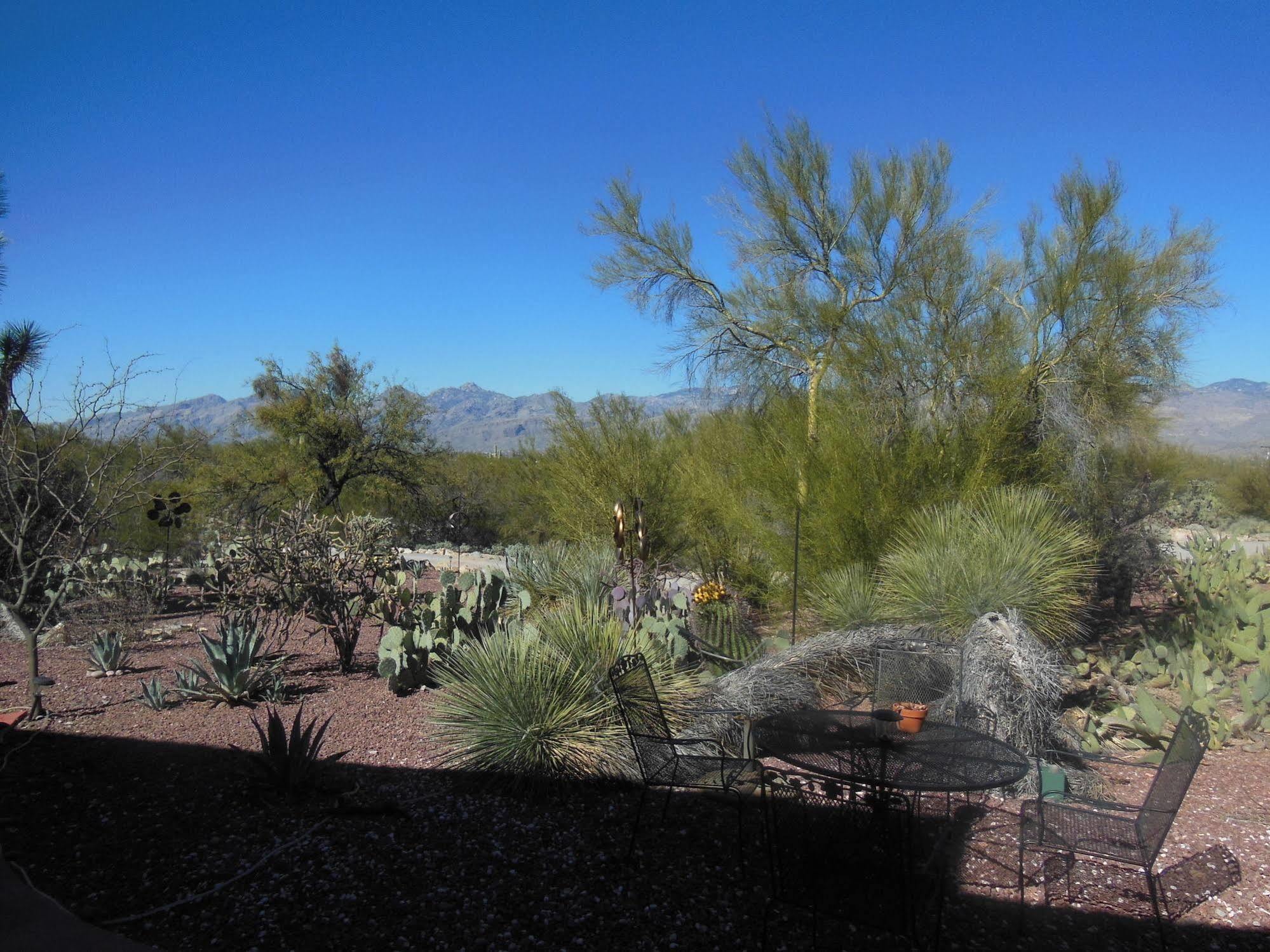 The Suncatcher Fine Country Inn Tanque Verde Extérieur photo